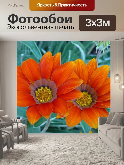 Фотообои Цветы