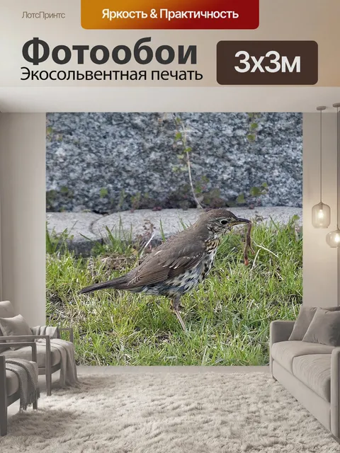 Фотообои Птица