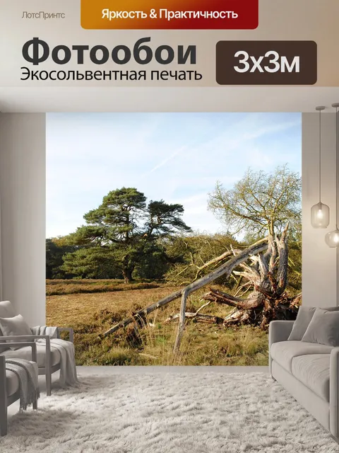 Фотообои Мох
