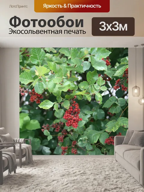 Фотообои Природа