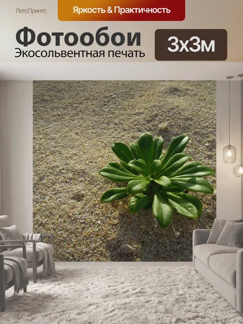 Фотообои Завод