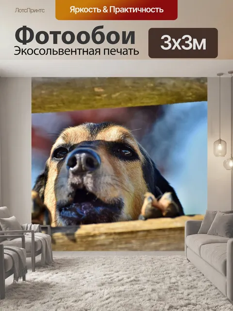 Фотообои Собака