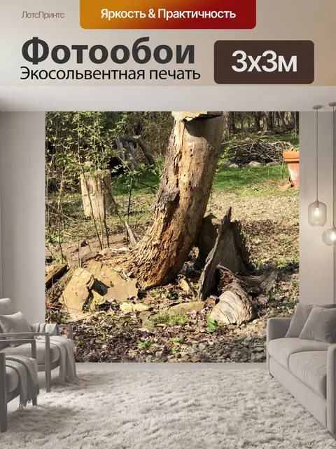 Фотообои Пень