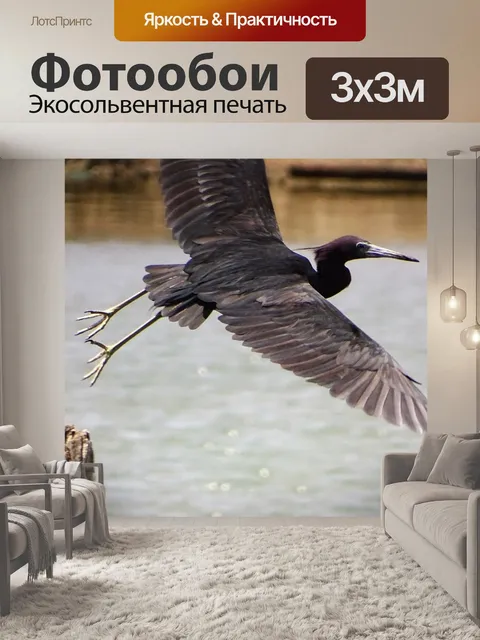 Фотообои Птица