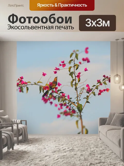 Фотообои Птицы
