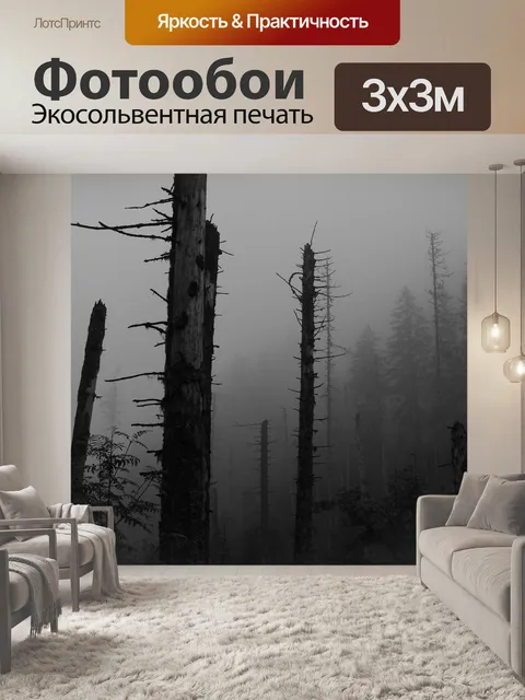 Фотообои Лес