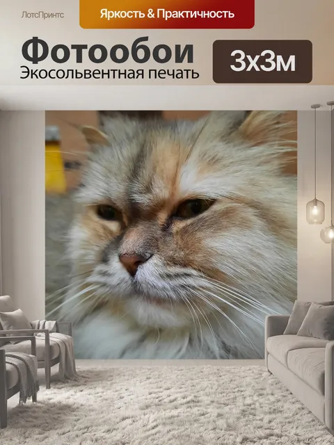 Фотообои Кошки