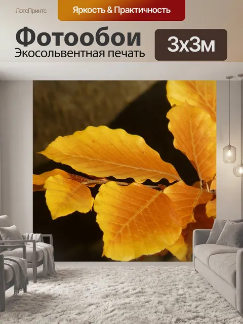 Фотообои Бук