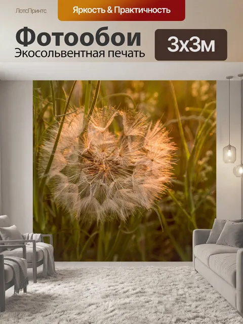 Фотообои Одуванчик
