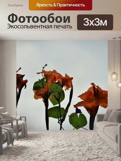 Фотообои канны цветы на фоне неба