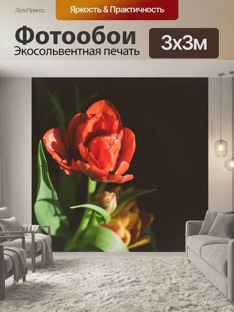 Фотообои Тюльпан