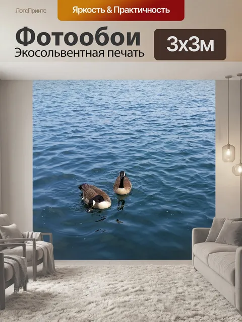 Фотообои Птицы