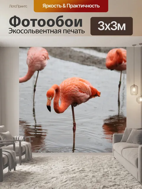 Фотообои Птица