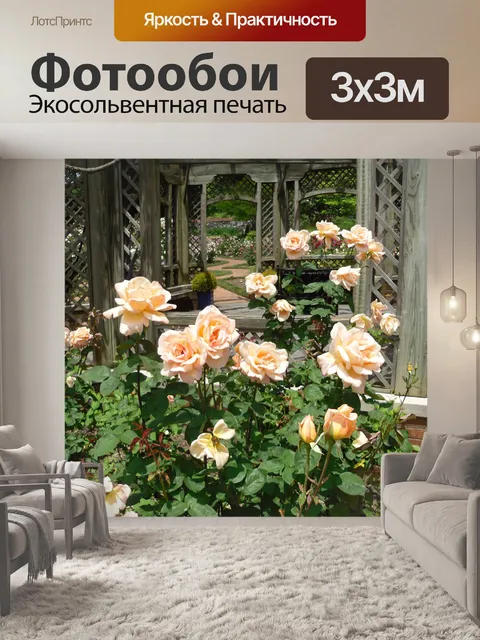 Фотообои Розы