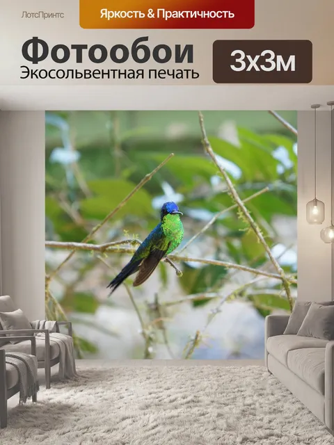 Фотообои Птица