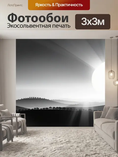 Фотообои пейзаж с восходящим солнцем чернобелый
