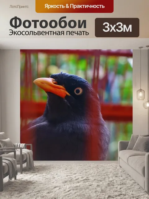 Фотообои Птица