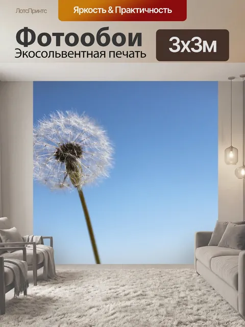 Фотообои Одуванчик