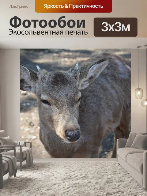 Фотообои Животное