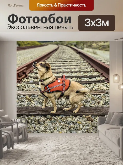 Фотообои Собака