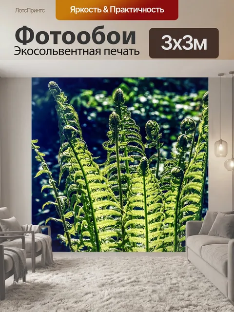 Фотообои Папоротник