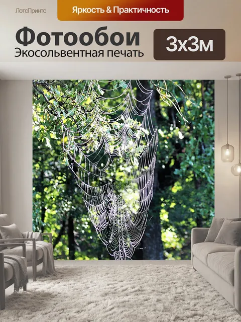 Фотообои Большая паутина в дереве