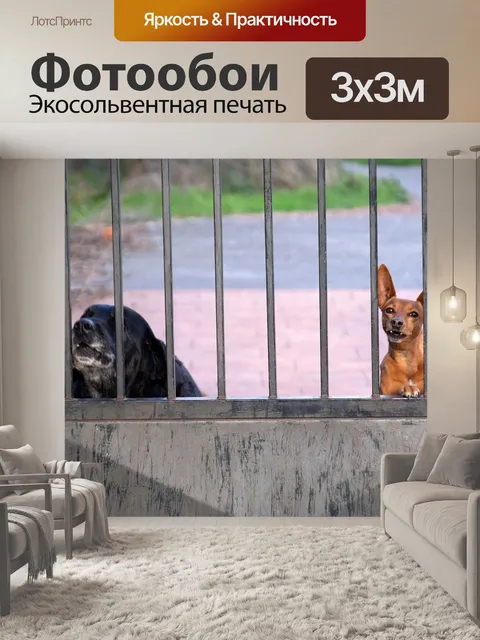 Фотообои Собаки