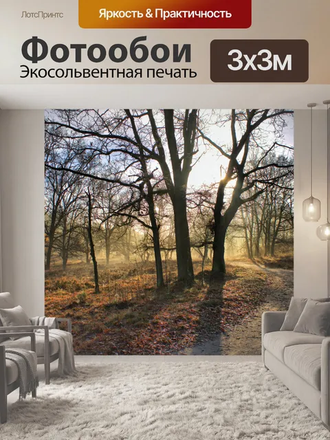 Фотообои Фон