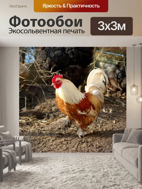 Фотообои Птицы