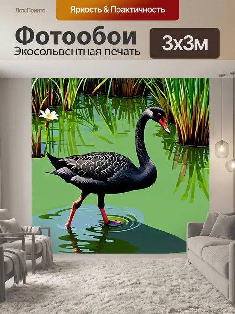 Фотообои черный лебедь среди водных растений, изящно идущий по пруду, в отличие от зеленых лилий и коричневых стеблей
