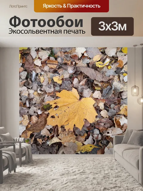Фотообои 14. ноябрь 20 Листья и мусорное ведро