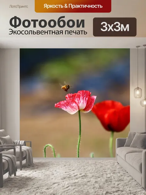 Фотообои Мак