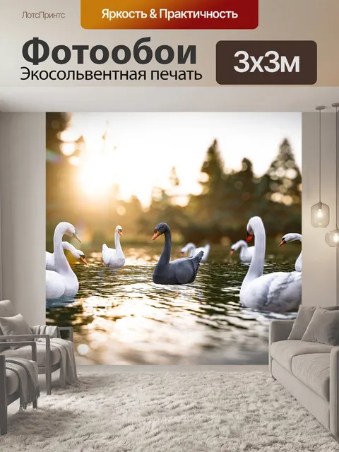 Фотообои Лебеди