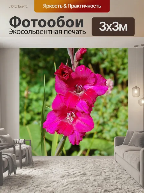 Фотообои Цветы 7