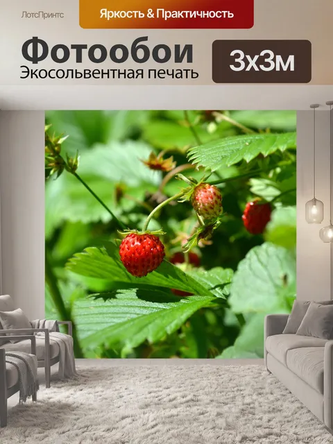 Фотообои Земляники лесной