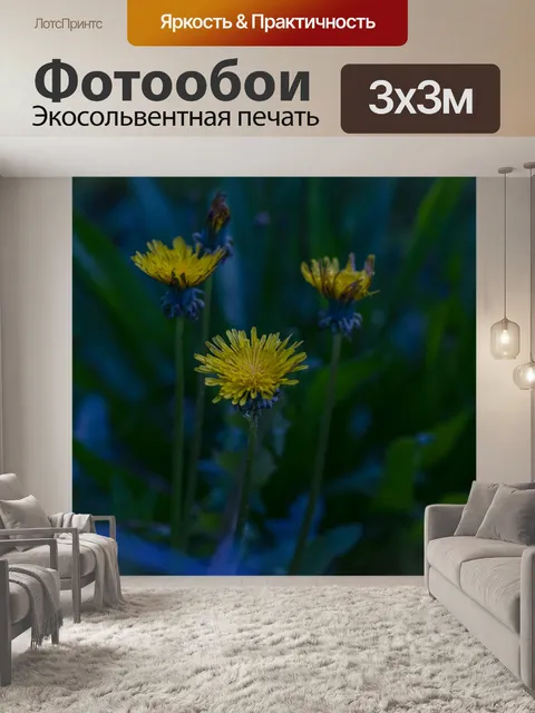 Фотообои Цветок