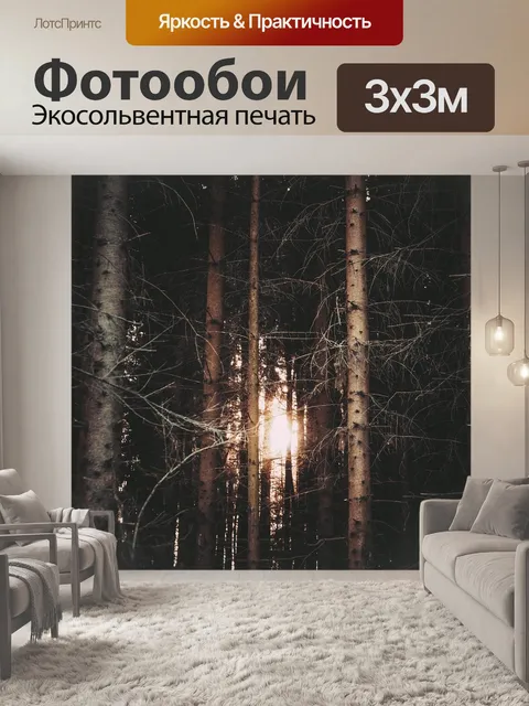 Фотообои Лес