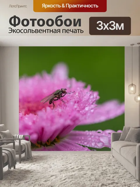 Фотообои Летать