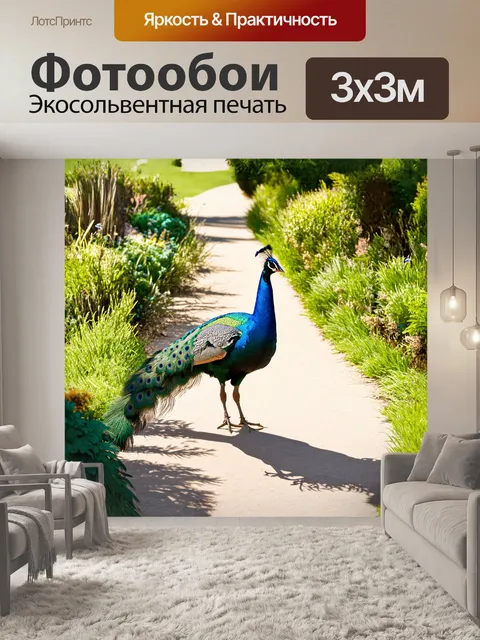 Фотообои павлин гордо шествует по тропинке зоопарка