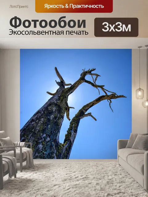 Фотообои Дерево