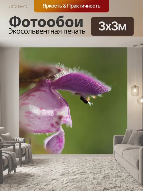 Фотообои Природа