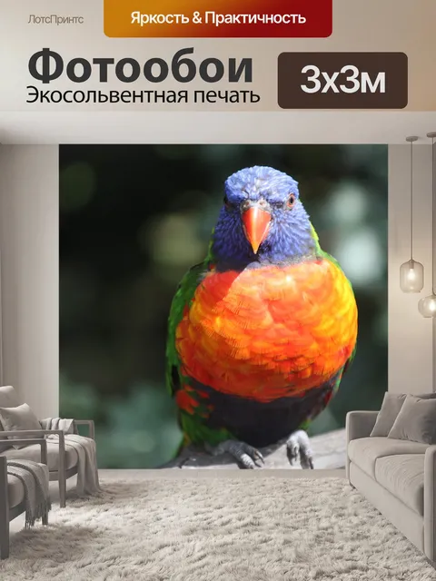 Фотообои Попугай