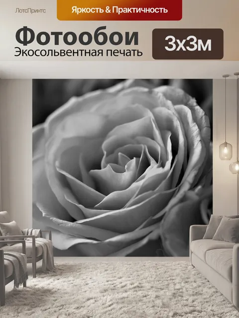 Фотообои Розы