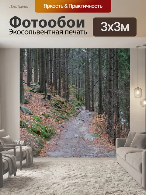 Фотообои Лесная тропа