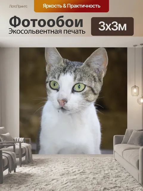Фотообои Кошка
