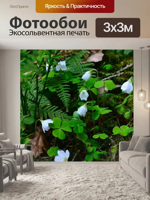 Фотообои Природа