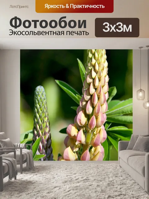 Фотообои Пейзаж