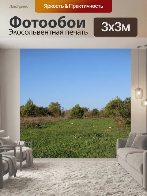 Фотообои Деревья