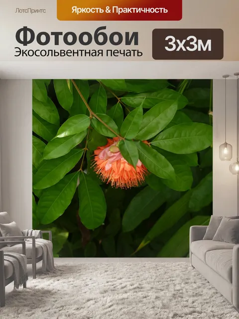 Фотообои Дерево цветение