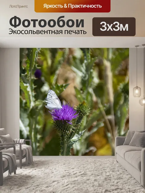 Фотообои Белая бабочка на кардоне